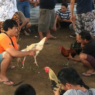 Před skutečným zápasem