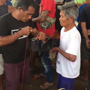 Přípravy na zápas