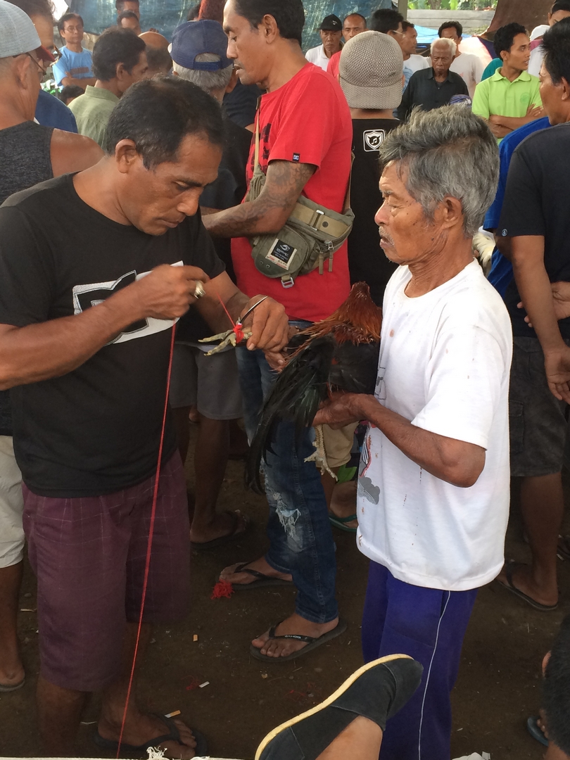 Přípravy na zápas