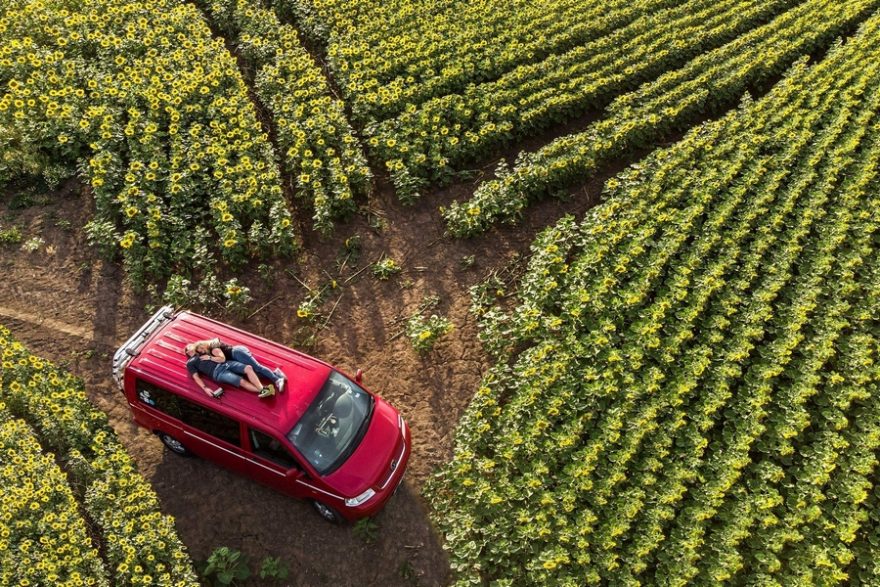 Uprostřed slunečnicového pole, Německo 