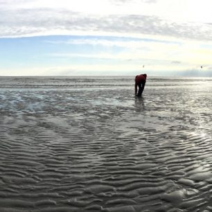 Pláž na břehu La Manche při odlivu