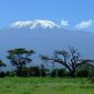 EXPEDICE: Pěšky z pláže Diani Beach v Keni na Kilimandžáro