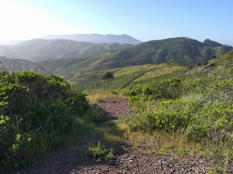 Treky v kopcích kolem Golden Gate