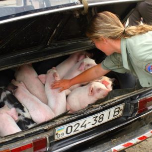 Na trhu v Jasině seženete opravdu všechno