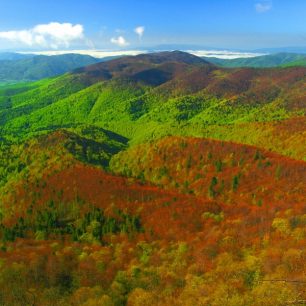 Pod nohami moře karpatských pralesů