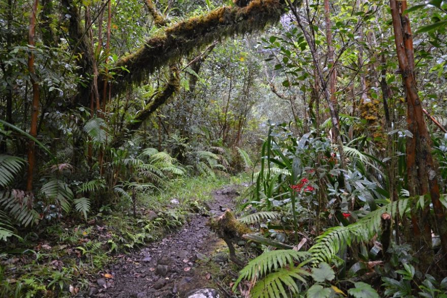 Budete si připadat jako v Jurském parku