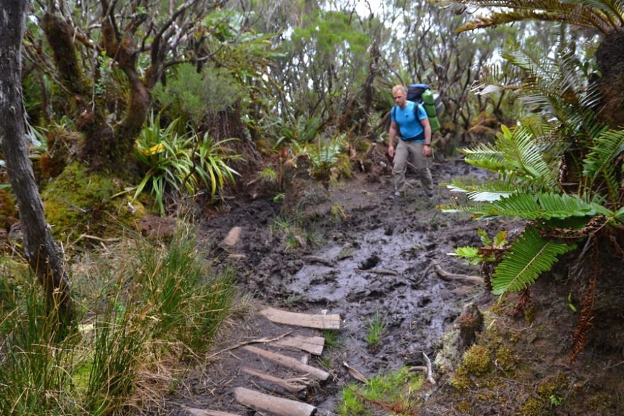 Na procházce JUrským parkem vám nehrozí žádné nebezpečí