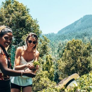 Nejlepší čajové plantáže na Srí Lance