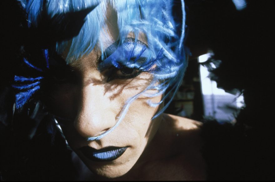 Dobrodružství Priscilly, královny pouště