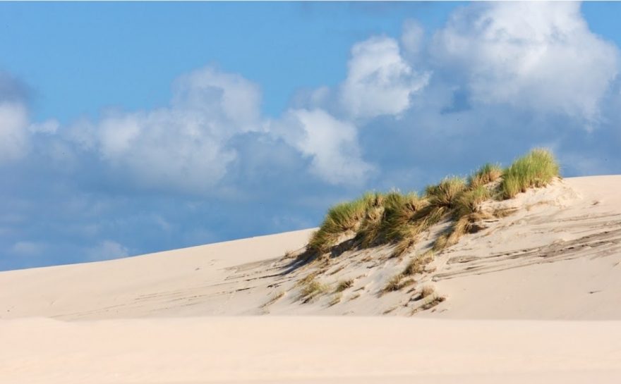 Ve čtvrti Scheveningen si půjčte si kolo a vyjeďte do rozsáhlých písečných dun