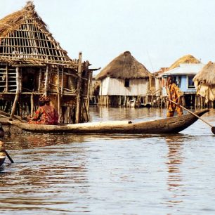 Zásilka ananasů míří na tržiště, zatímco v pozadí probíhá prudká hádka o přednost v jízdě.