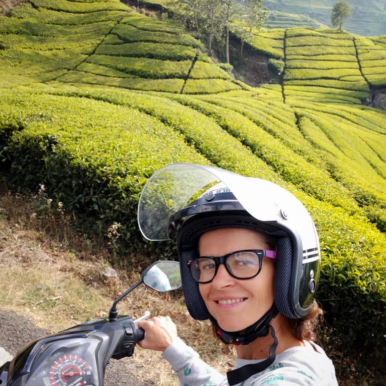 Na výpravě za čajem na Jávě