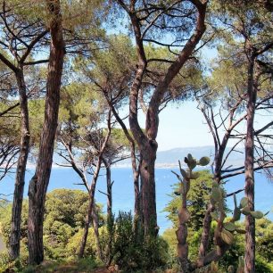 Okolní lesy korsického města lákají k dlouhým túrám