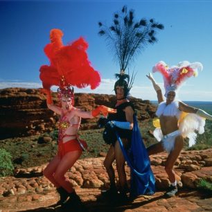 Dobrodružství Priscilly, královny pouště