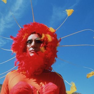 Dobrodružství Priscilly, královny pouště