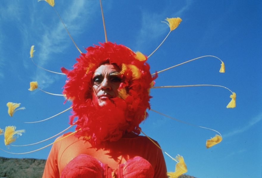 Dobrodružství Priscilly, královny pouště