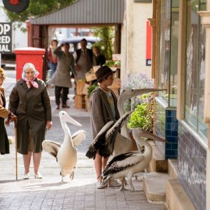 Chlapec a pelikán (Storm Boy)