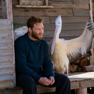Chlapec a pelikán (Storm Boy)