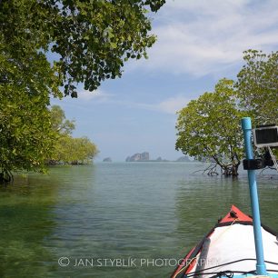V mangrovovém lese ostrova Ko Libong