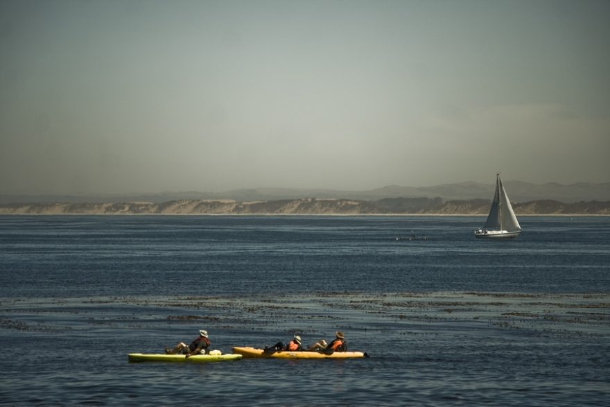 Oblíbenou aktivitou je v Montereyském zálivu kajakování