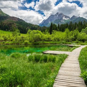 Smaragdové jezírko Zelenci nedaleko Kranjské Gory, kde pramení řeka Sáva Dolinka - jedna ze zdrojnic Sávy.