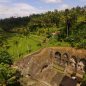 Pátrání v indonéské džungli