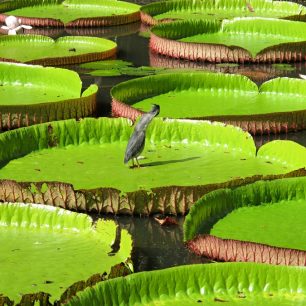 Mauricius nabízí mnoho fotogenických zákoutí