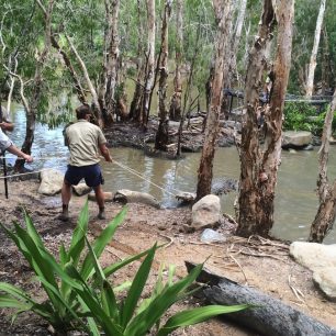 Ty největší zážitky získáte při pozorování úžasné australské přírody
