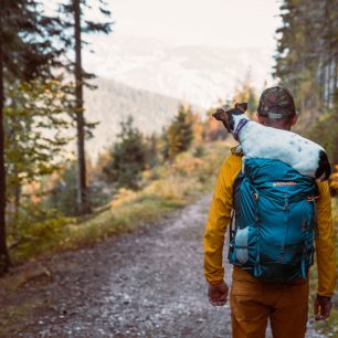 Minimalismus a praktické detaily propojuje kousky z nové kolekce batohů Pinguin.
