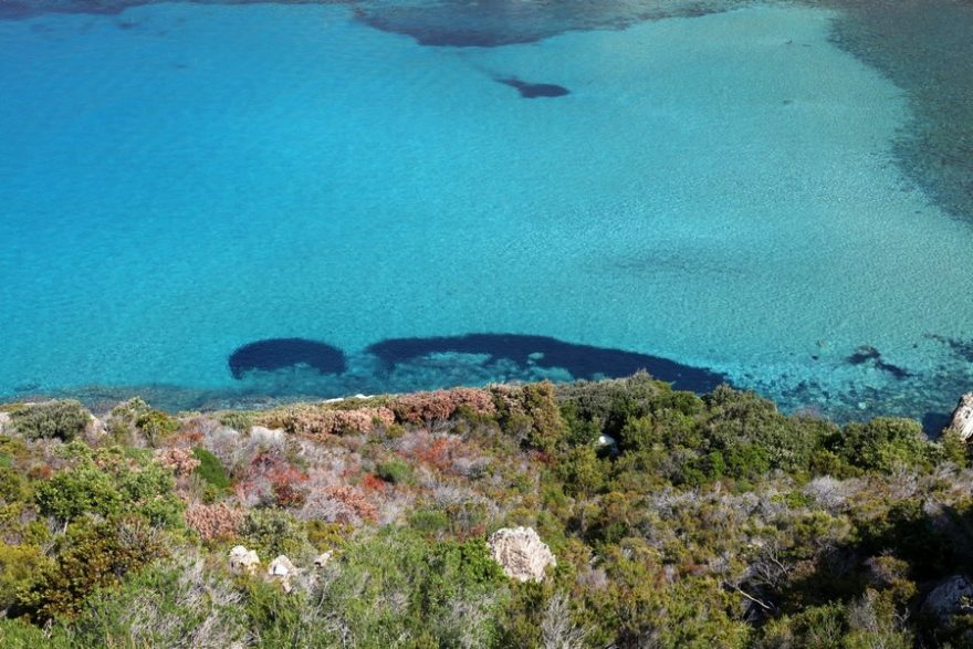 Azurově čistá voda na Korsice