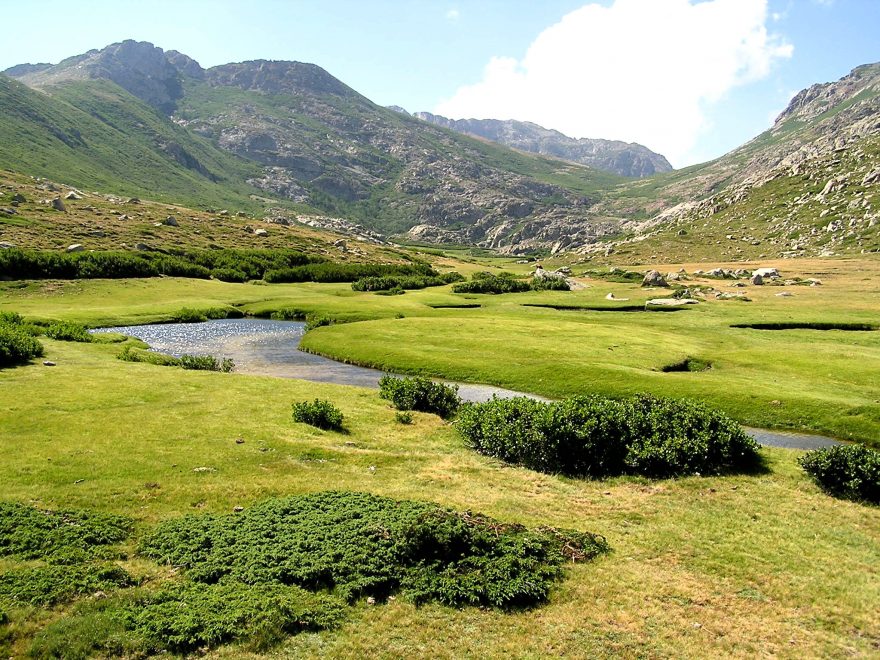 Louky korsických hor se krásně zelenají