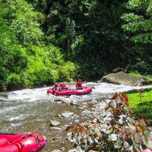 Velkým zážitkem pro děti od 4 let bude rafting na řece Telaga Waja
