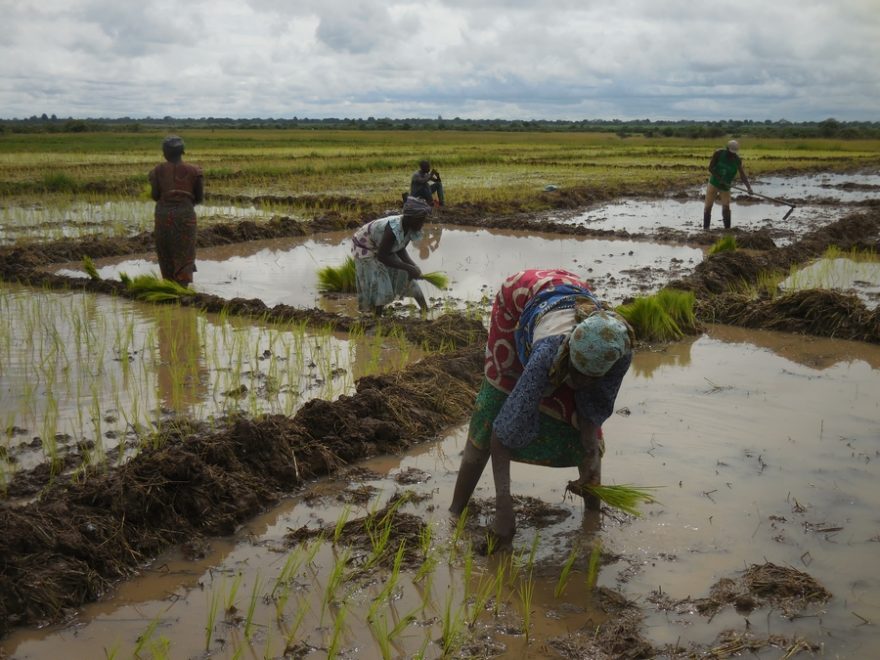 Projektový tým chce monitorovat také hodnocení nových postupů ze strany farmářů, a především na problémy při jejich zavádění do praxe