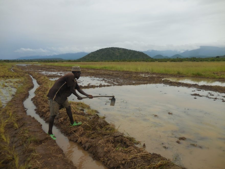 V oblasti se zemědělstvím živí drtivá většina obyvatel