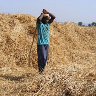 Meandeleo pro realizaci stále nemá pokrytý rozpočet. Chybí sponzoři