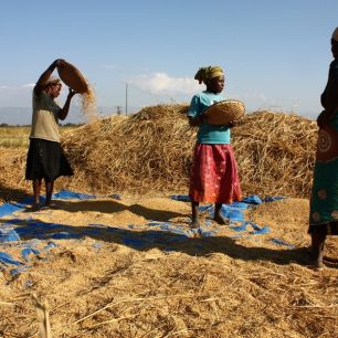Navzdory tomu, že je projekt v pokročilé fázi přípravy, přiznává Schlossarek, že jeho spuštění může být o rok odloženo