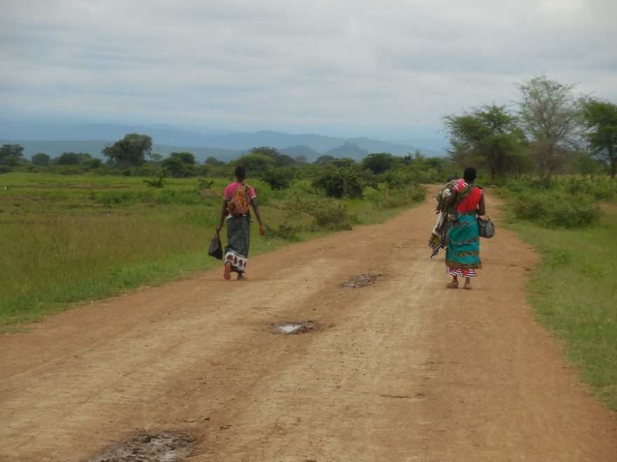 Maendeleo založí několik experimentálních polí, díky kterým zjistí, jak konkrétně se systémem intenzifikace pracovat