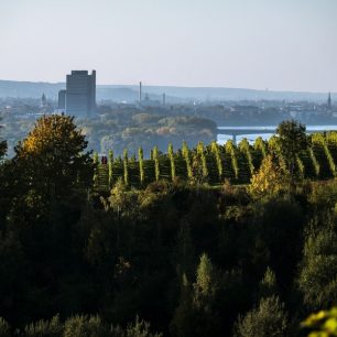Bonn
