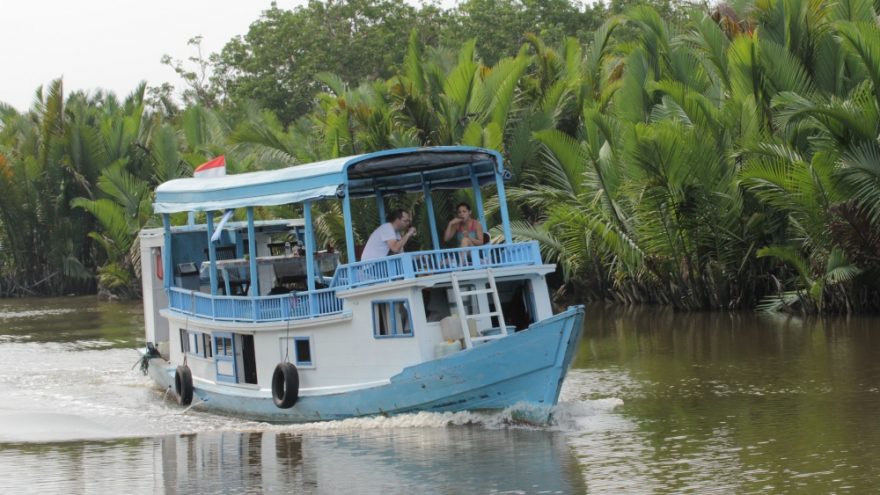 Klotog v Tanjung Puting