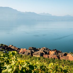 St. Saphorin, vinice, Foto Andre Meier, Switzerland Tourism