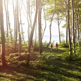 Jasmund, NP, Německo