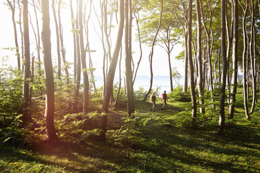 Jasmund, NP, Německo