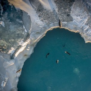 Pohledy na ledovcovou lagunu Jökulsárlón a její okolí.